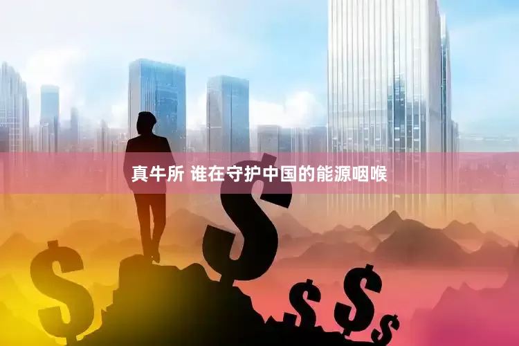 真牛所 谁在守护中国的能源咽喉