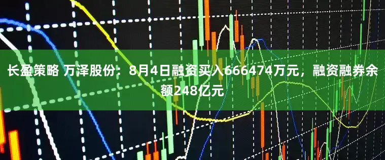 长盈策略 万泽股份：8月4日融资买入666474万元，融资融券余额248亿元